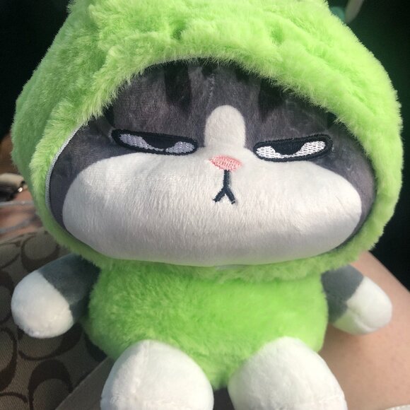 🐈 Kawaii Grumpy Cat Plush in Frog Hoodie Soft Stuffed Animal Toy 7” Cute Lovely - Picture 1 of 3